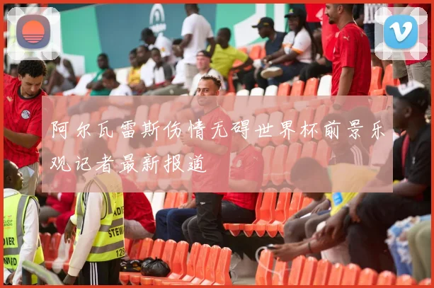 阿尔瓦雷斯伤情无碍世界杯前景乐观记者最新报道